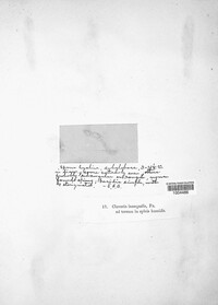 Image Associated With the Occurence